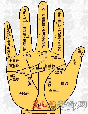 图解:手掌纹路大全